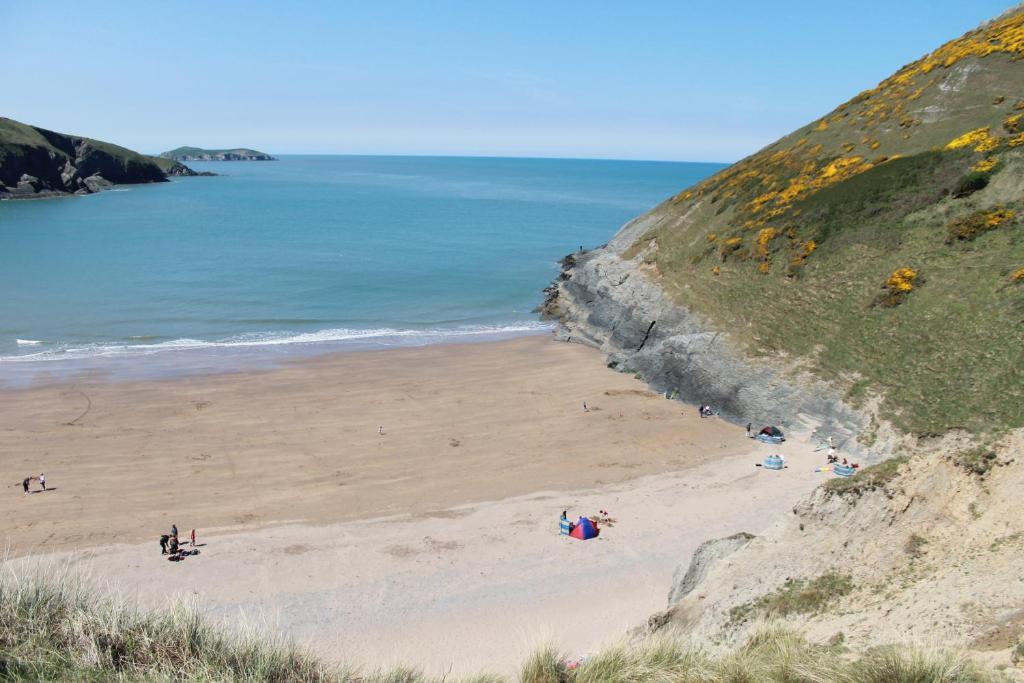Llety Teifi Guesthouse Cardigan Zewnętrze zdjęcie